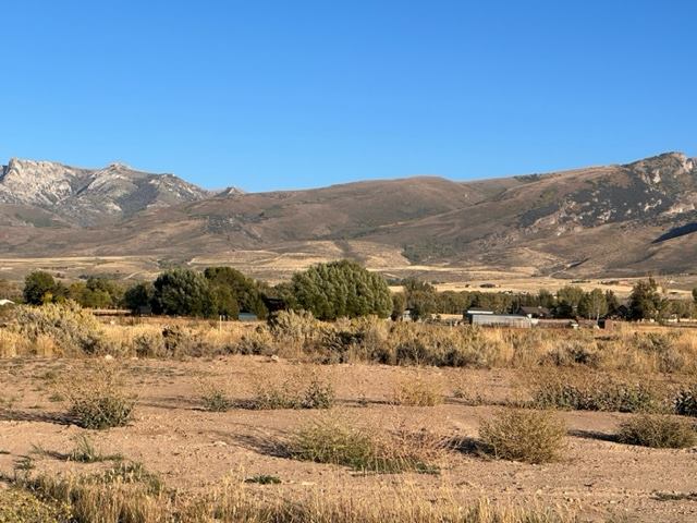 1108 Sunset Lane, Lamoille, NV 89828