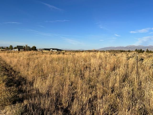 1108 Sunset Lane, Lamoille, NV 89828