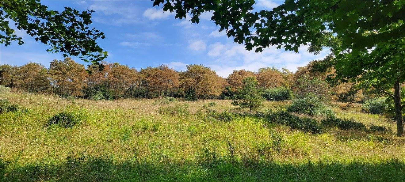 00 Nashville Rd, Montgomery/Grant, PA 15771