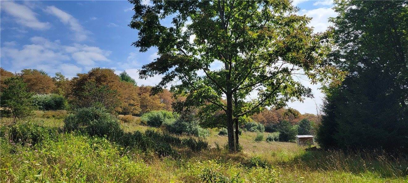 00 Nashville Rd, Montgomery/Grant, PA 15771