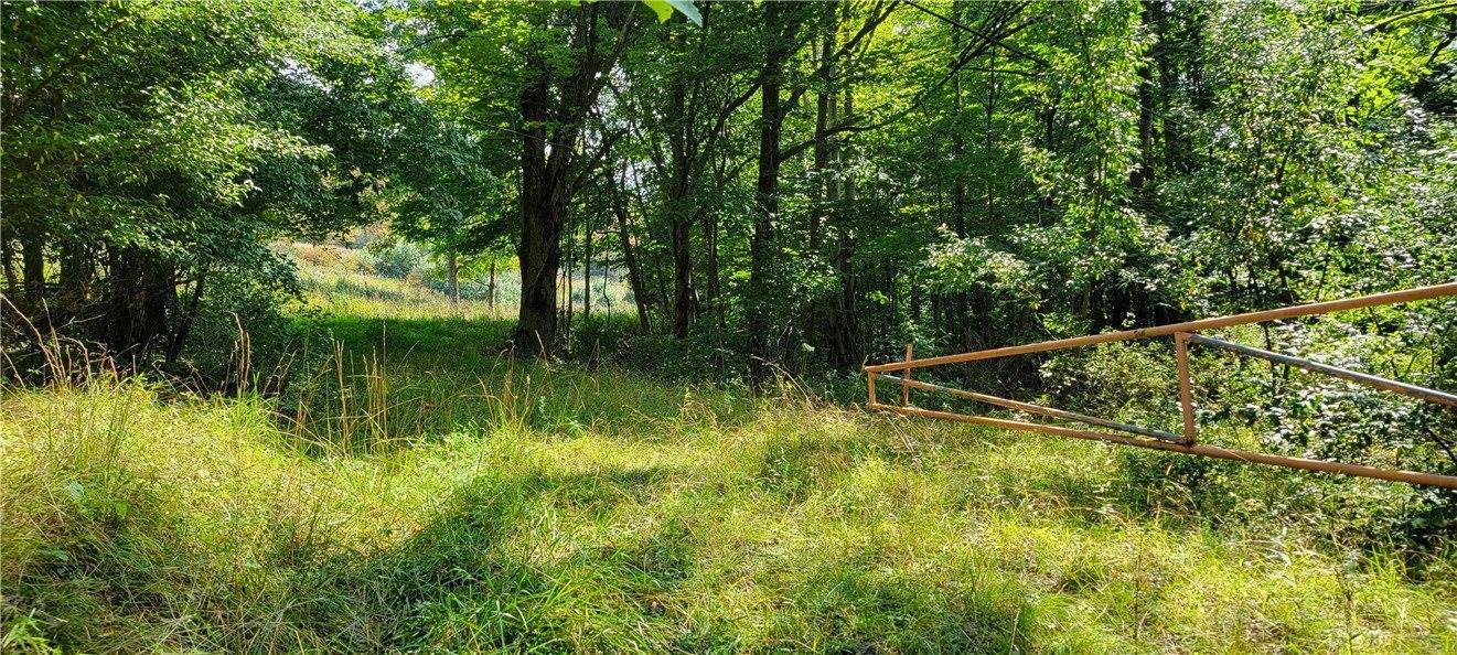 00 Nashville Rd, Montgomery/Grant, PA 15771