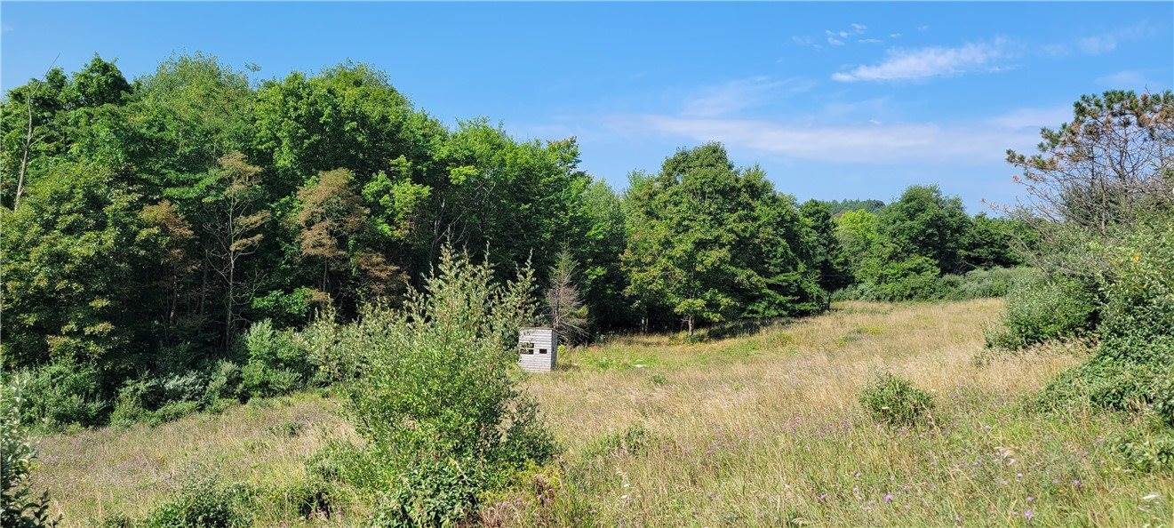 00 Nashville Rd, Montgomery/Grant, PA 15771