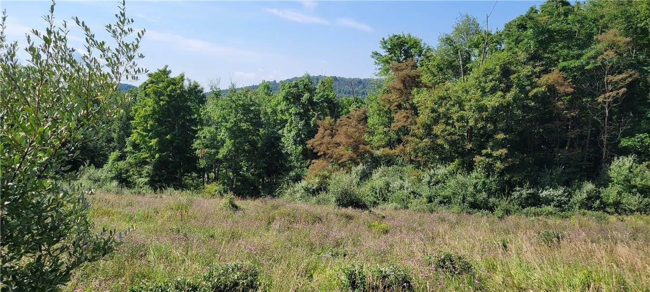 00 Nashville Rd, Montgomery/Grant, PA 15771