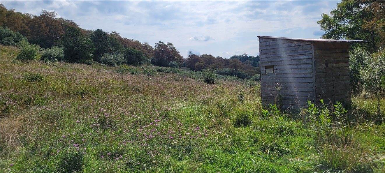 00 Nashville Rd, Montgomery/Grant, PA 15771