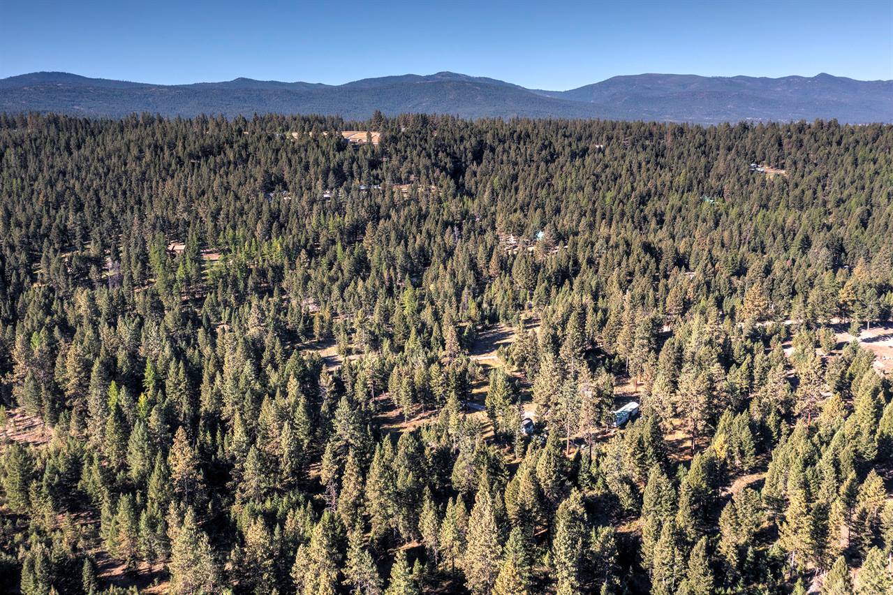 1600 Copper Cliff, Potomac, MT 59823