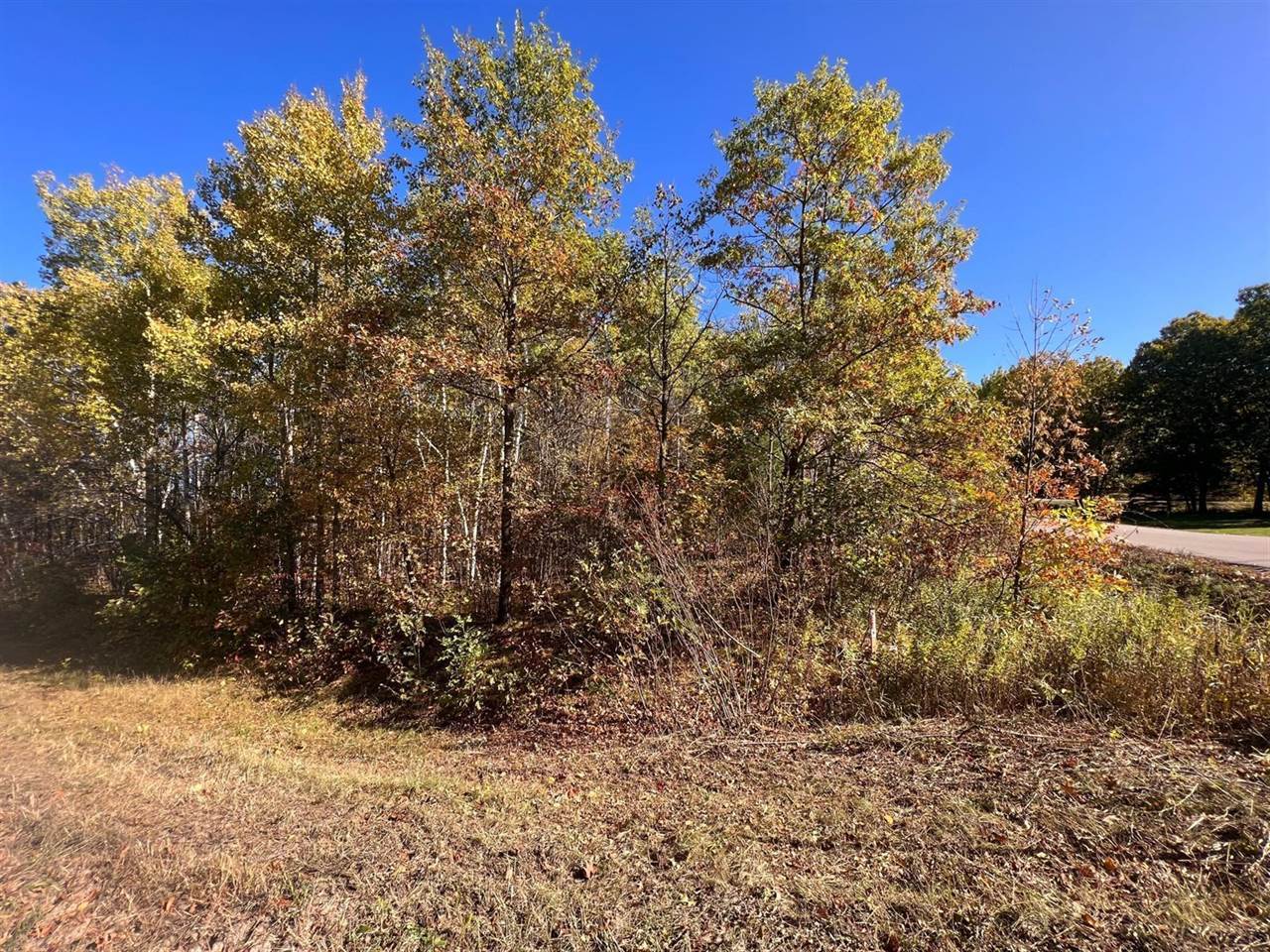 TBD Timber Ln, Cushing, MN 56443