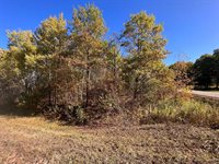 TBD Timber Ln, Cushing, MN 56443