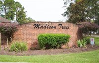 14653 Madison Lane, Ponchatoula, LA 70454