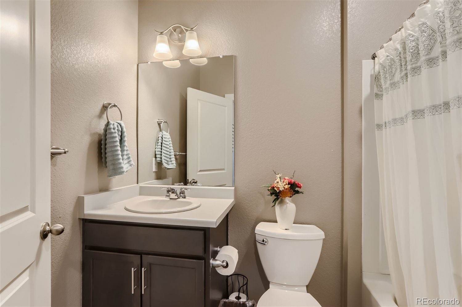 14591 Holstein Street, Mead, CO 80542