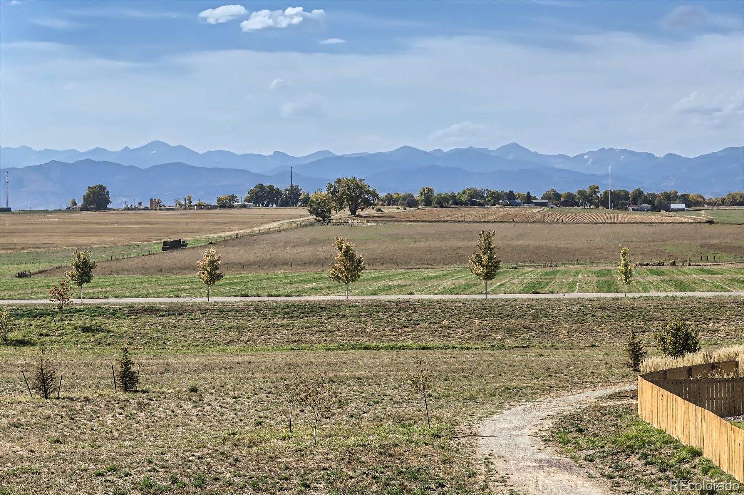 14591 Holstein Street, Mead, CO 80542