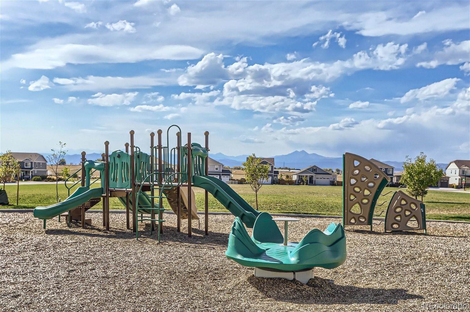 14591 Holstein Street, Mead, CO 80542