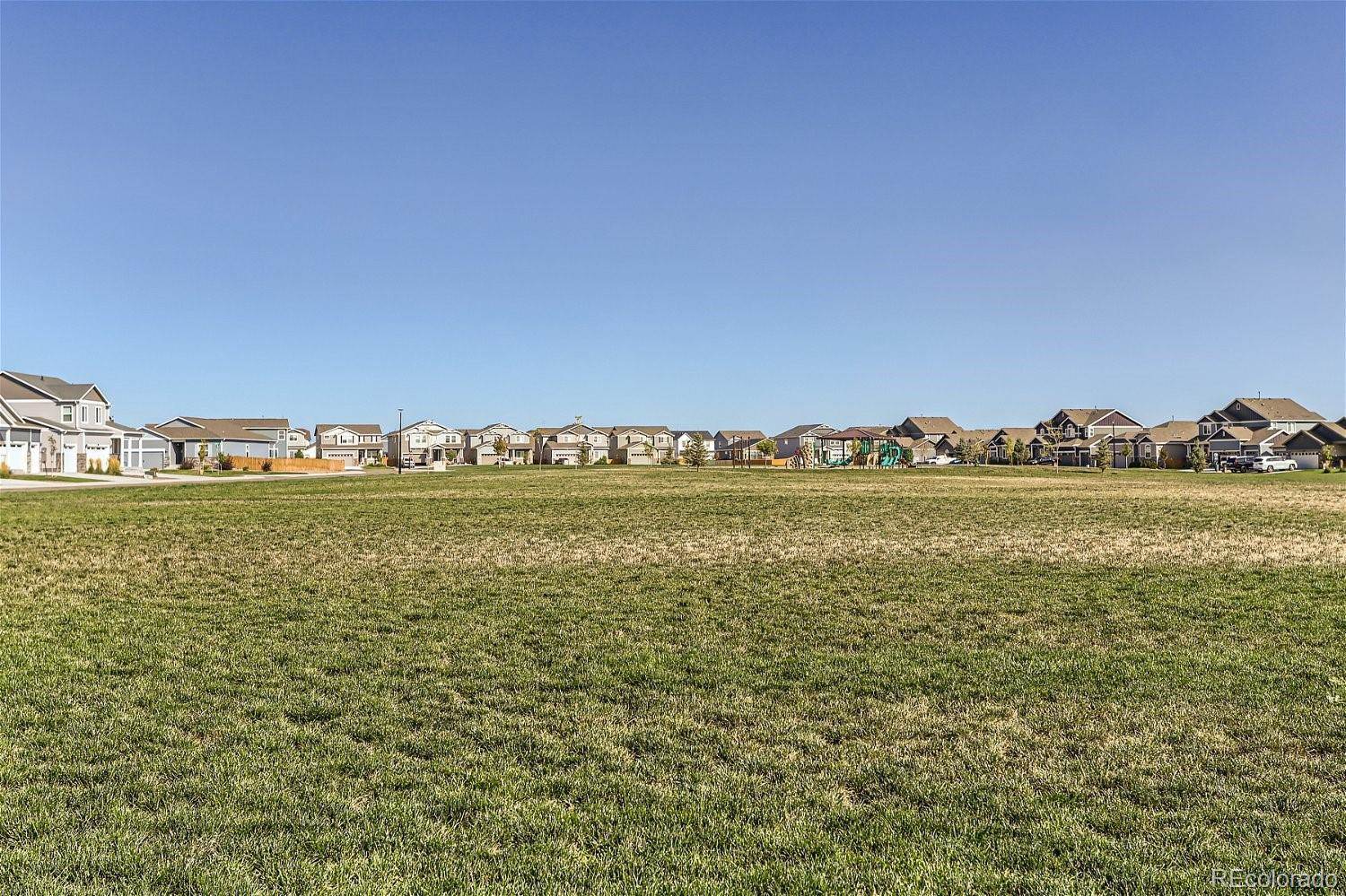 14591 Holstein Street, Mead, CO 80542