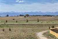 14591 Holstein Street, Mead, CO 80542