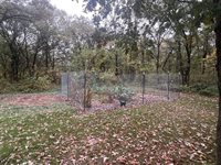 12876 18th Avenue SW, Pillager, MN 56473