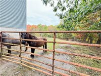 15470 Mitchell Road, Cumberland, OH 43732