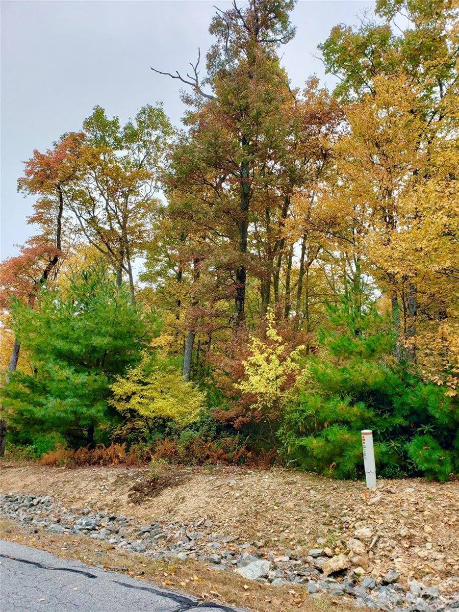 lot 16 Sunset Ridge Drive, Lot 16, Boone, NC 28607