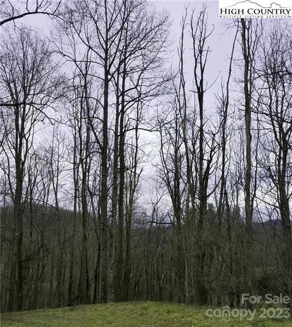 Lot 10 PLUS Reserved Area Yasmine Lane, Vilas, NC 28692