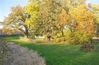 W22924 Erickson Road, Strum, WI 54770