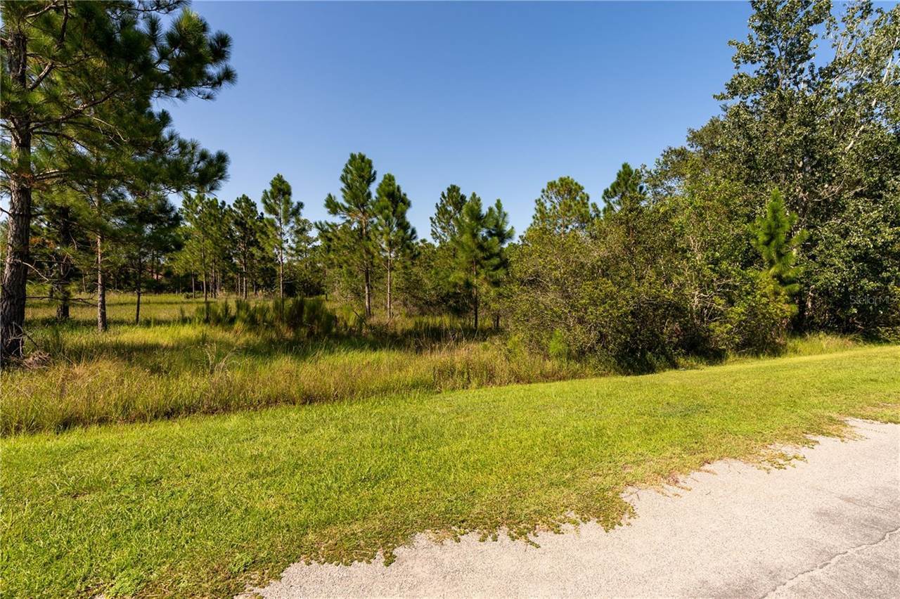 Odham Street, Orlando, FL 32833