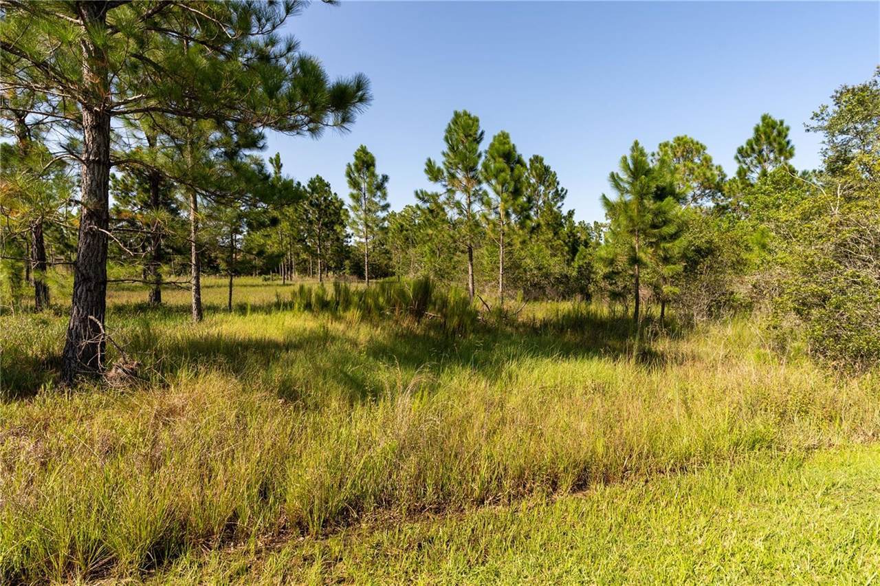 Odham Street, Orlando, FL 32833