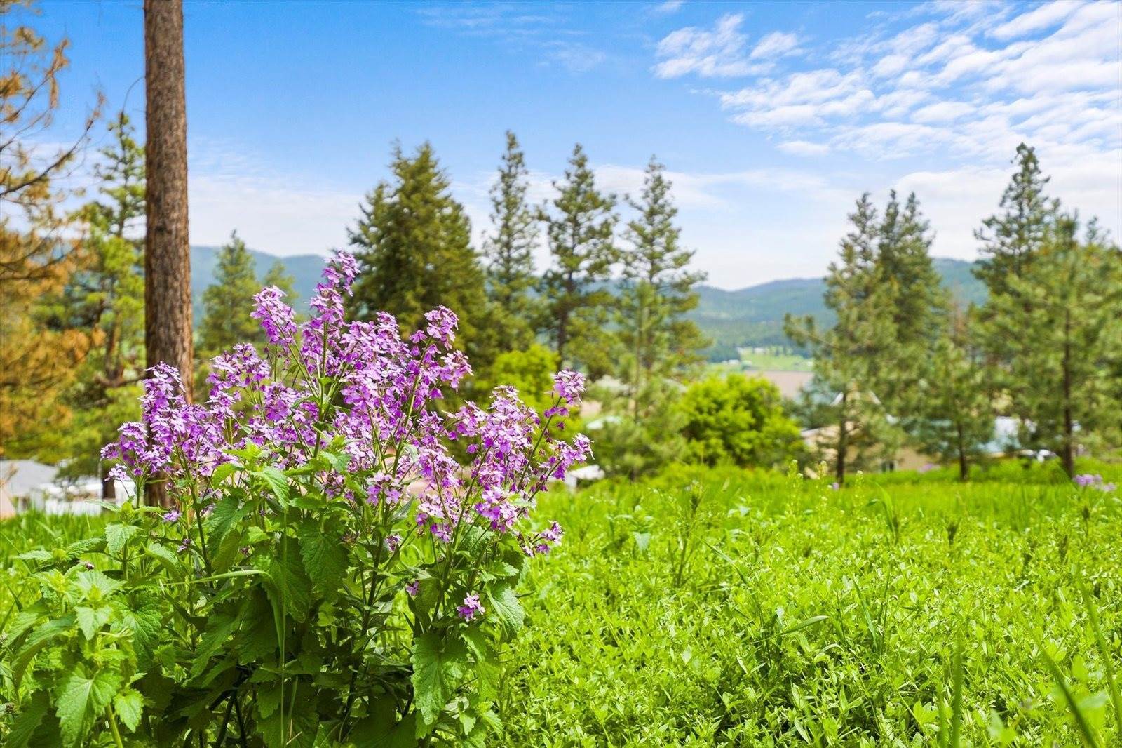 325 3rd Street, Kila, MT 59920