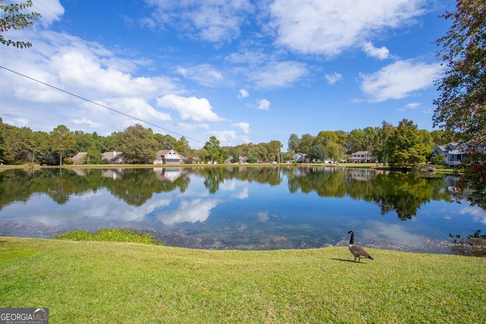 1117 Lily Pad Lane, Statesboro, GA 30458