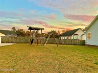 145 Sword Loop, Broadway, NC 27505