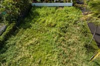 15-117 Alu Lepe St, Pahoa, HI 96778