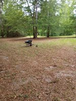 NW 89TH Avenue, Lake Butler, FL 32054