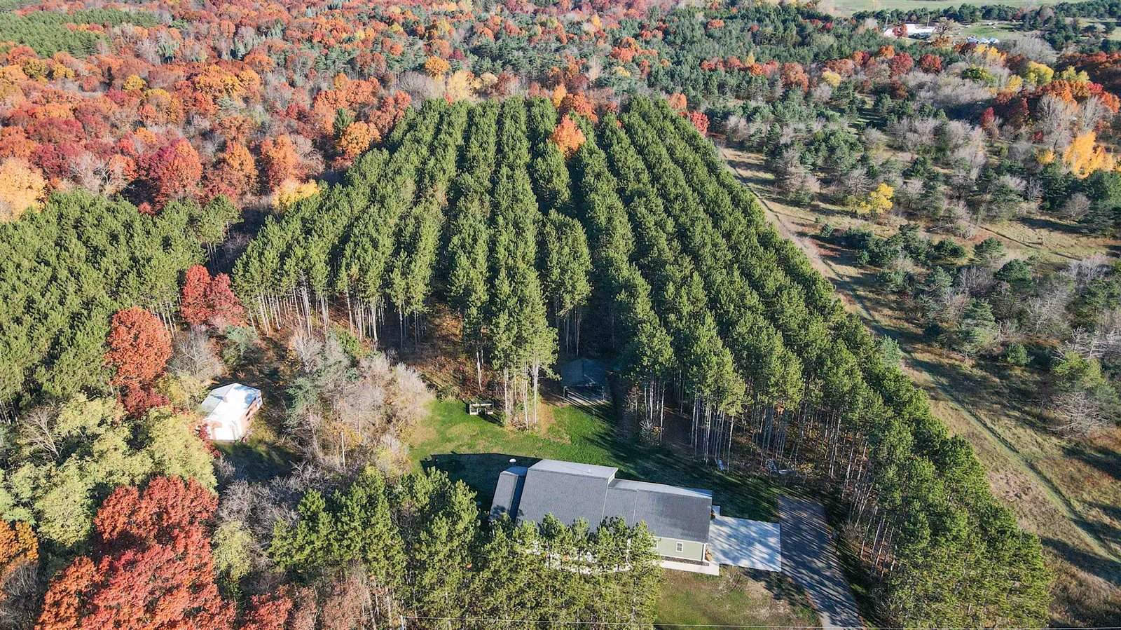 8732 4th Avenue, Almond, WI 54909