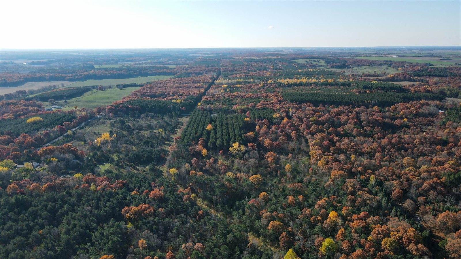 8732 4th Avenue, Almond, WI 54909