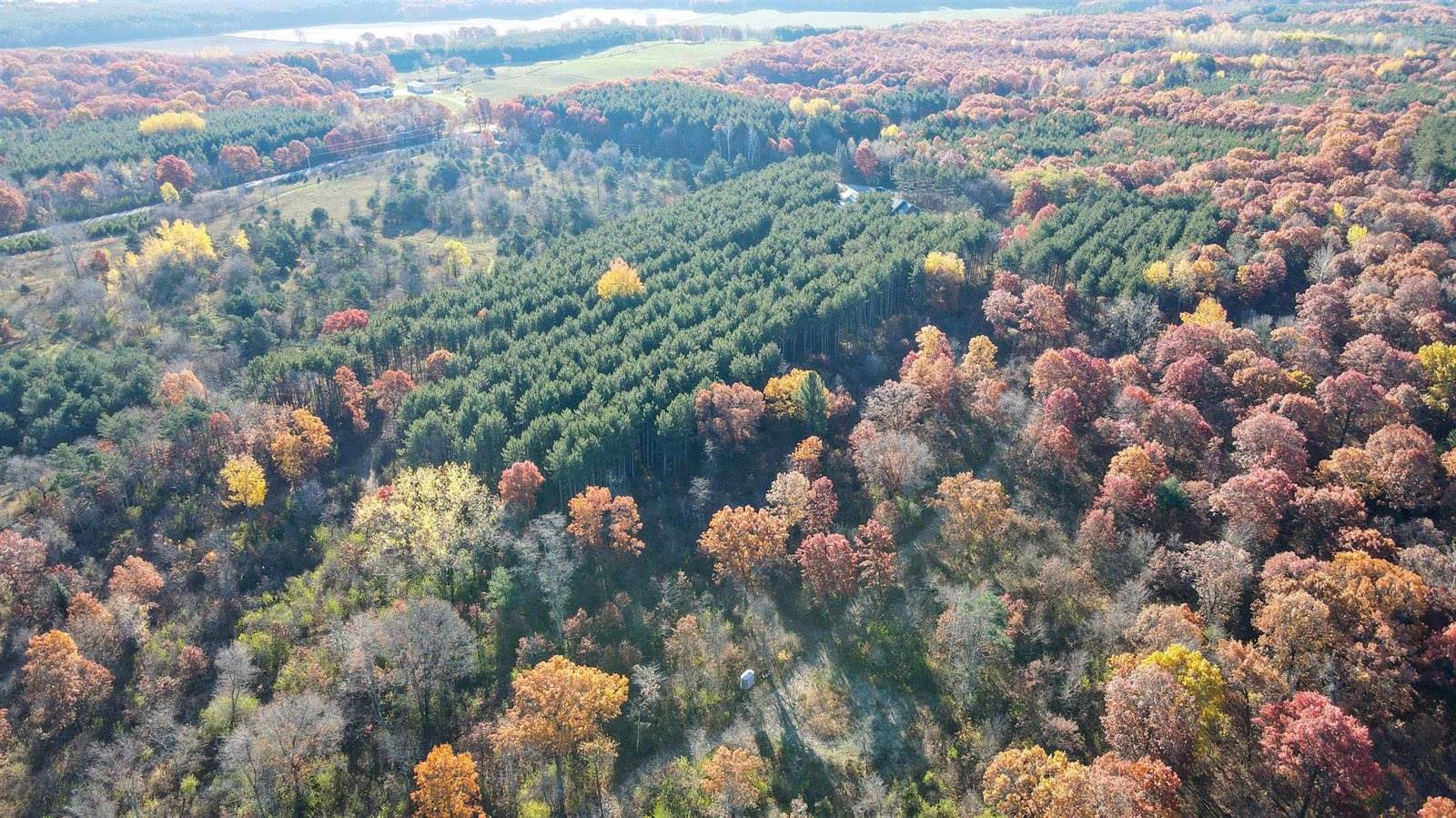 8732 4th Avenue, Almond, WI 54909