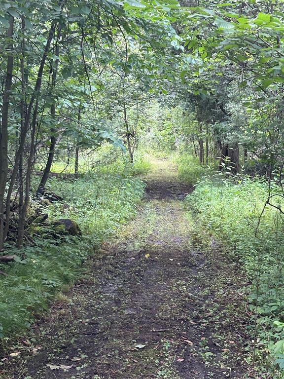 3585 Bowers Road, Attica, MI 48412