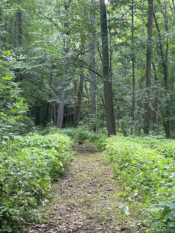 3585 Bowers Road, Attica, MI 48412