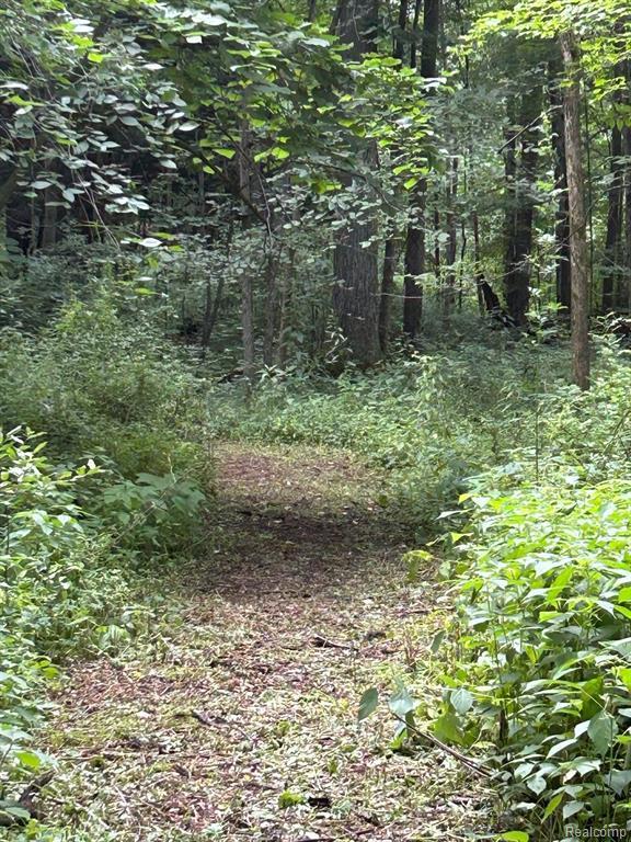 3585 Bowers Road, Attica, MI 48412