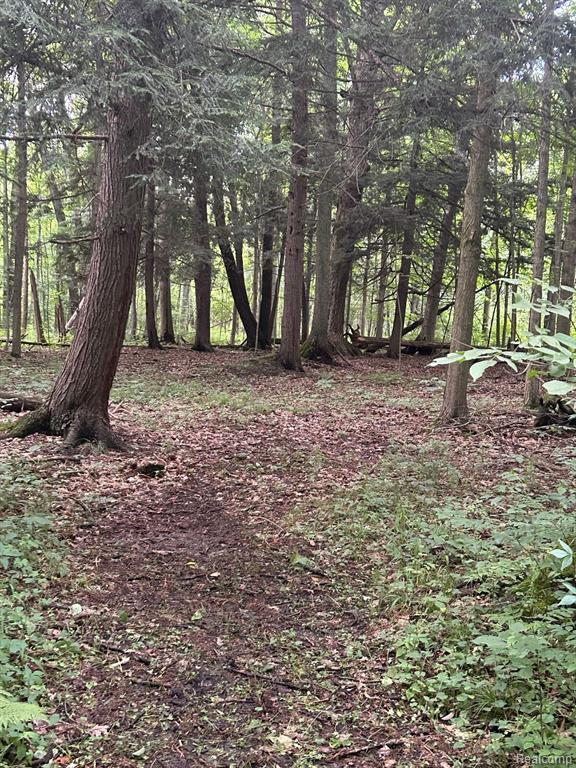 3585 Bowers Road, Attica, MI 48412