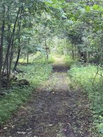 3585 Bowers Road, Attica, MI 48412