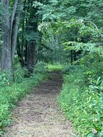 3585 Bowers Road, Attica, MI 48412