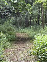 3585 Bowers Road, Attica, MI 48412