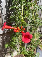 2908 54TH Street South, Gulfport, FL 33707