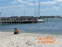 2908 54TH Street South, Gulfport, FL 33707