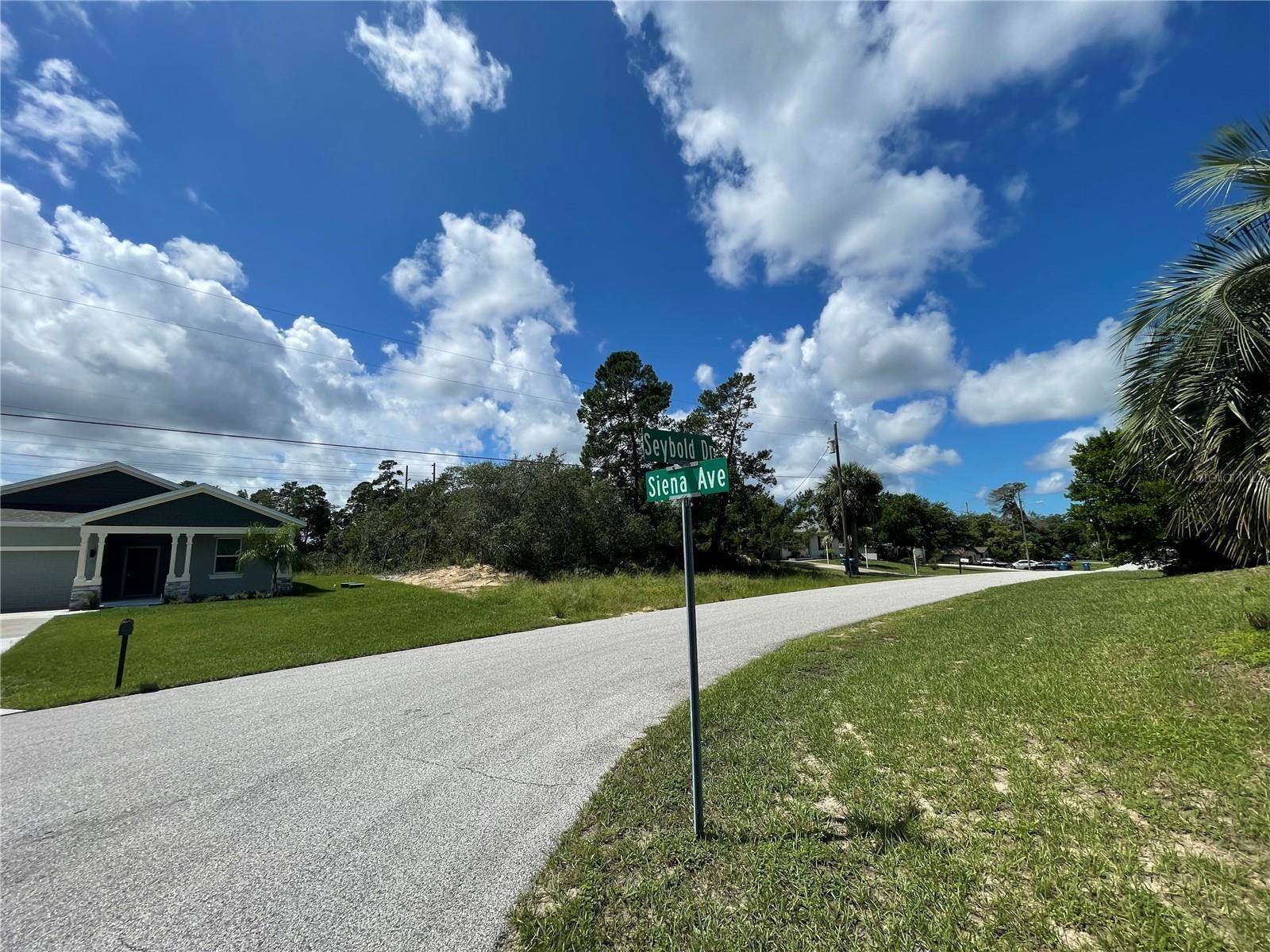 12474 Seybold Drive, Spring Hill, FL 34608