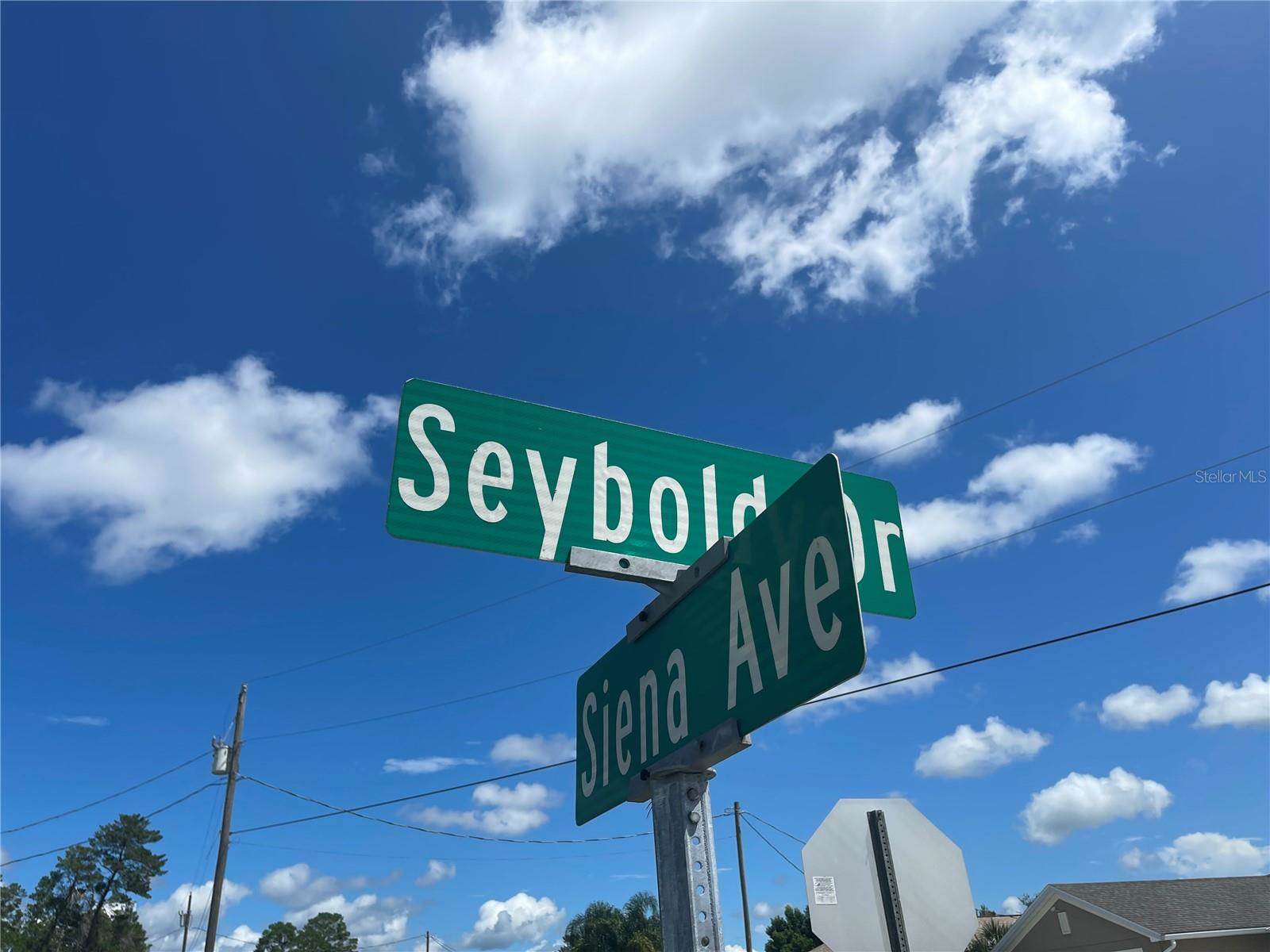 12474 Seybold Drive, Spring Hill, FL 34608