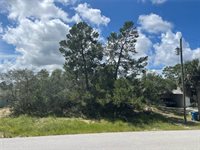 12474 Seybold Drive, Spring Hill, FL 34608