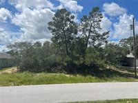 12474 Seybold Drive, Spring Hill, FL 34608