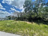 12474 Seybold Drive, Spring Hill, FL 34608