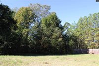 912 Koon, Irmo, SC 29063