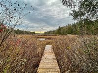 111 Dodge Road, Whiting, ME 04691