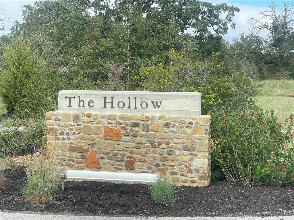 19345 Moonlit Hollow, College Station, TX 77845