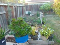 5870 Nina Way, Sacramento, CA 95824